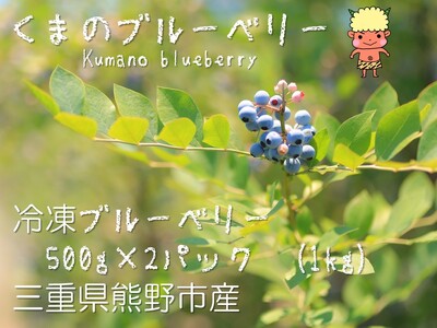 【先行受付】ブルーベリー くまのブルーベリー 冷凍 1㎏(500g×2) フルーツ 果物 くだもの ブルーベリー スムージー ジャム 朝食 デザート 特産品 人気 国産 旬 熊野精工 三重県 熊野市【kmsi0006】