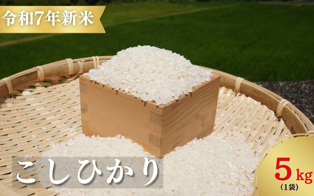 yߘaVNVāzFs琶  5kg yligh0012z
