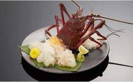 伊勢海老 約1kg(1~3尾)伊勢海老[kmgk0001]