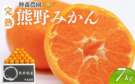 ݂ X_ nF݂ 7kgynkmr0006z