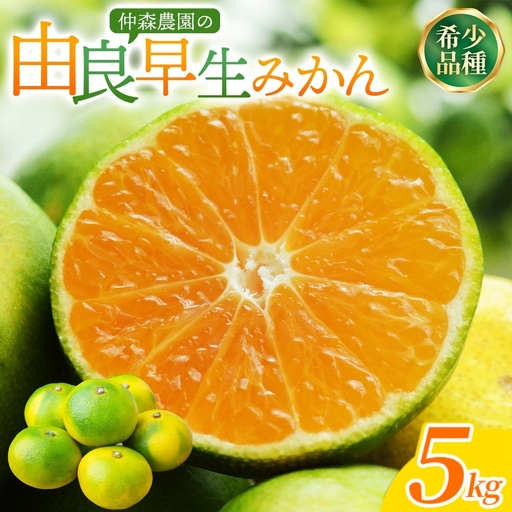 みかん 由良早生みかん 約5kg【nkmr0020】