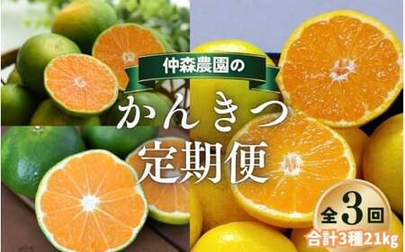 みかん 定期便 3回 計21kg 【超極早生温州・極早生温州・由良早生】みかん【nkmr-tkb0009】