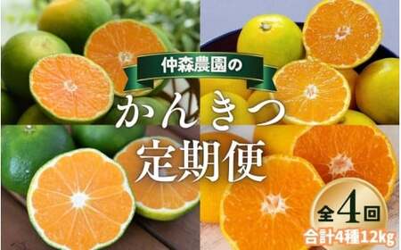 みかん 定期便 4回 計12kg[超極早生温州・極早生温州・由良早生・早生温州]みかん[nkmr-tkb0003]