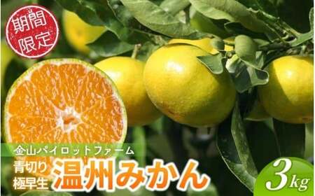 みかん 金山パイロットファームの 極早生温州みかん 3kg [2026年9月下旬から順次発送][knpr0018]