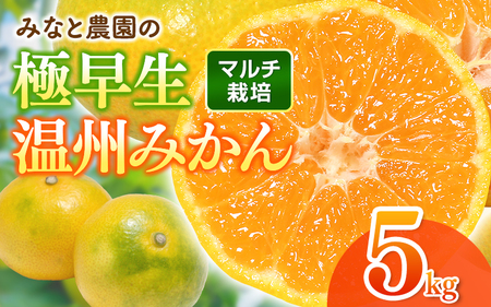 みかん 極早生温州みかん 約5kg マルチ栽培[mntf0003]