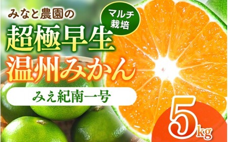 みかん みえ紀南一号 超極早生みかん 約5kg[mntf0001]