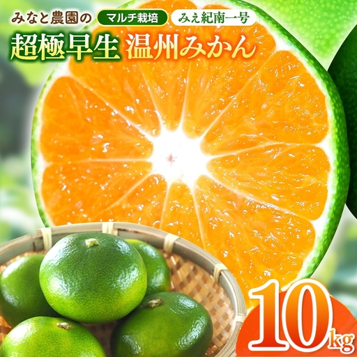 みかん みえ紀南一号 超極早生みかん 約10kg【mntf0002】
