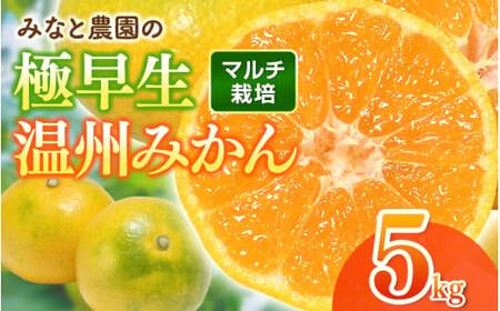 みかん 極早生温州みかん 約5kg マルチ栽培[mntf0003]