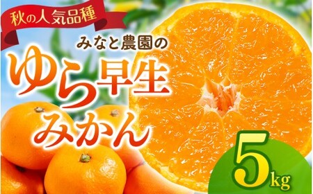 みかん ゆら早生みかん 約5kg[mntf0007]