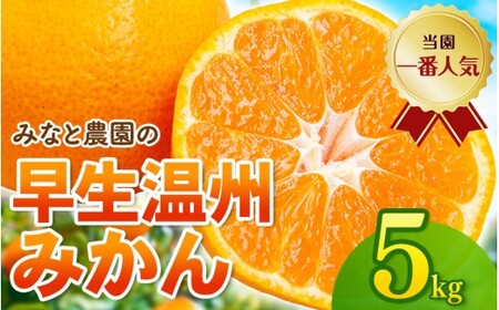 【数量限定】みかん 早生温州みかん 約5kg【mntf0009】