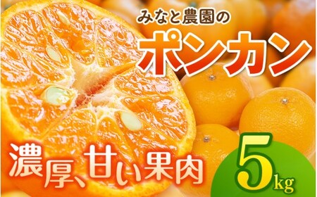 [先行予約]ポンカン みなと農園のポンカン 約5kg [mntf0011]