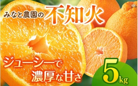 [先行予約]不知火 みなと農園の不知火 約5kg [mntf0013]