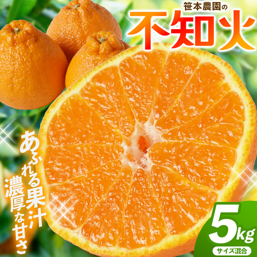 不知火 笹本農園の不知火 約5kg サイズ混合 みかん[ssmt0001]