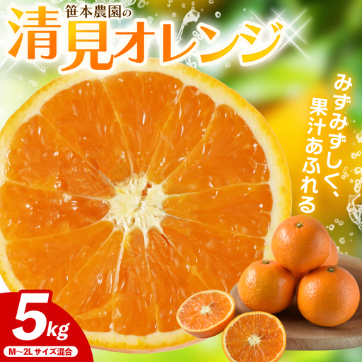 みかん 笹本農園の清見オレンジ 約5kg M〜2Lサイズ混合 みかん[ssmt0003]