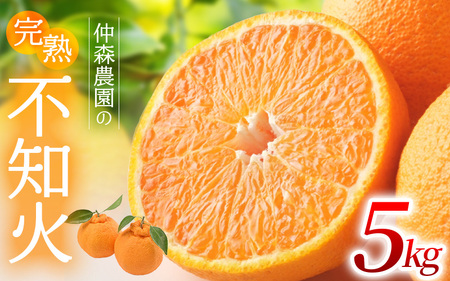 不知火 仲森農園の完熟不知火 5kg【nkmr0003】