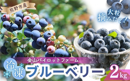 冷凍 ブルーベリー 2kg 急速冷凍 | ブルーベリー ブルーベリー ブルーベリー【knpr0010】
