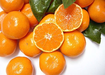 みかん 熟成温州みかん 約4.5kg 自然塾 みかん みかん みかん みかん みかん[szjk0002]