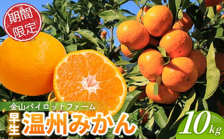 ݂ RpCbgt@[ B݂ 10syknpr0015z