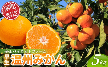 ݂ RpCbgt@[ B݂ 5syknpr0014z