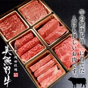 [美熊野牛]6種の部位が楽しめる食べ比べ焼肉セット