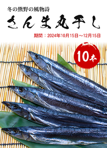 さんま丸干し 10本 松屋水産 秋刀魚 干物 丸干し 熊野