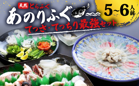 とらふぐ 5〜6人前 てっさ てっちり 期間限定 セット 天然 あのりふぐ 2匹 冷蔵 ふぐ刺身 河豚刺し 鍋 刺身 刺し身 ふるさと納税ふぐ ふるさと納税とらふぐ 鮮魚 海鮮 魚介 冬 三重 伊勢志摩 志摩市