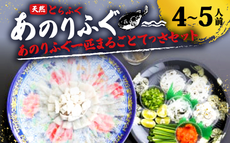 ふぐ 刺身 てっさ セット 4〜5人前 天然 とらふぐ 冷蔵 刺身 あのりふぐ のし お祝い 慶事 贈答 三重 伊勢志摩 志摩 三重ブランド [ 期間限定 ] フグ鍋フグ鍋