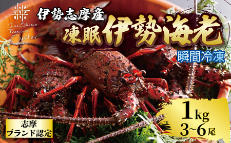 [伊勢海老] 1kg 3尾 〜 6尾 冷凍 伊勢エビ 伊勢エビ
