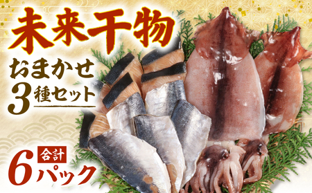 [干物] 未来干物 おまかせ3種セット 合計6パック ひもの ひもの