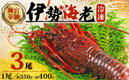 [順次発送・ダンボール入] 伊勢海老 約 350g 〜 400g ✕ 3尾 冷凍 伊勢海老 イセエビ イセ海老