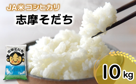 新米 コシヒカリ 10kg 令和6年産 ブランド米 新米 米 白米 精米 コシヒカリ お米 10kg ご飯 伊勢 志摩 三重県 JA米「志摩そだち」 20000円 2万円 二万円