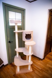 キャットタワー エースコフレ*/猫 ねこ ネコ キャット タワー キャットタワー ペット 可愛い かわいい キャットタワｰ キャットタワｰ キャットタワｰ キャットタワｰ キャットタワｰ キャットタワｰ キャットタワｰ キャットタワｰ キャットタワｰ キャットタワｰ キャットタワｰ キャットタワｰ キャットタワｰ キャットタワｰ キャットタワｰ キャットタワｰ キャットタワｰ キャットタワｰ キャットタワｰ キャットタワｰ キャットタワｰ キャットタワｰ キャットタワｰ キャットタワｰ