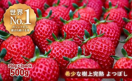 ynNtgBERRYzLVFtpBy㊮nڂz500gio2025N12{`2026N5{j