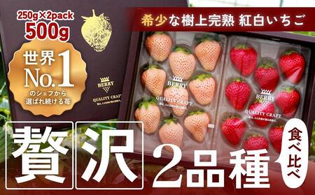 ynNtgBERRYzLVFtpBygz㊮nڂEW 500gio2025N12{`2026N5{j