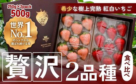 ynNtgBERRYzLVFtpBygz㊮ngق؁EW 500gio2025N12{`2026N5{j