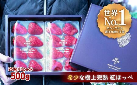 ynNtgBERRYzLVFtpBy㊮ngق؁z500gio2025N12{`2026N5{j