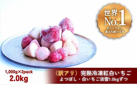 【訳アリ/食べ比べ】完熟冷凍苺「よつぼし＆淡雪 1.0kg × 2種類」化粧箱入【果実まるごとアイス】
