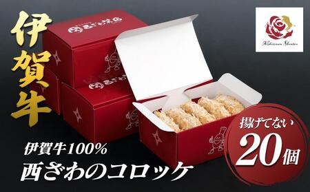 ɉꋍ100̃RbPigĂȂj20i5×4j
