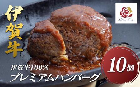 ɉꋍ100v~Ano[O10Zbgi120g x10j