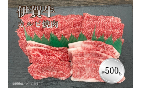 伊賀牛 カルビ焼肉 約500ｇ【cook0053】