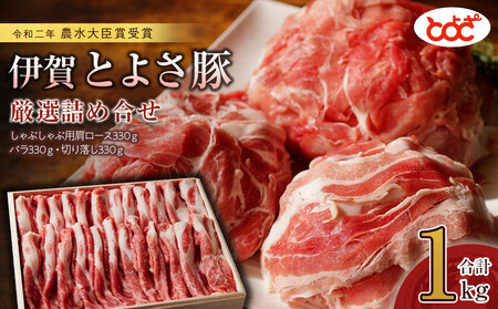 農水大臣賞受賞 伊賀とよさ豚 厳選詰め合せ1Kg