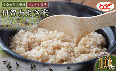 完全無化学肥料 あいがも農法 伊賀とよさ米[玄米]10kg
