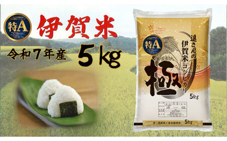 令和7年産【数量限定】三重県伊賀米 極 5kg 精米 進さんのコシヒカリ