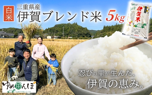 三重県産 伊賀ブレンド米 5kg 白米[ymtb0006]