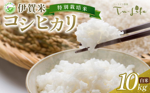 伊賀産 コシヒカリ(白米)10kg[tuli0003]