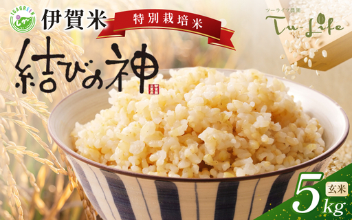 特別栽培米・伊賀米結びの神 5kg 〈玄米〉【tuli0007A】 