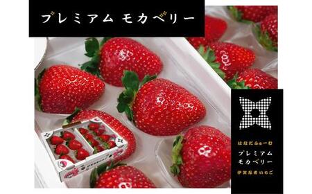 伊賀忍者いちご プレミアムモカベリー 2パックセット(約270g×2)[苺 いちご 苺 イチゴ いちご