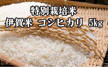 ʍ͔|āEɉăRVqJ 5kg