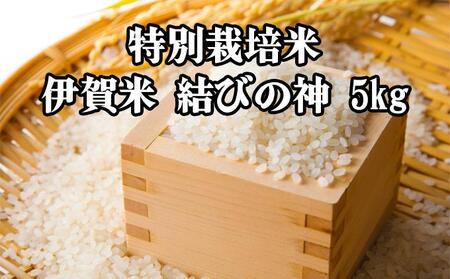ʍ͔|āEɉČт̐_ 5kg