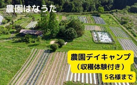農園はなうた 農園デイキャンプ（収穫体験付き） 5名様まで